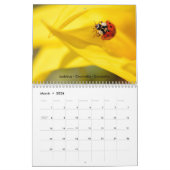 Divers insectes pour le calendrier 2023 (Mar 2026)