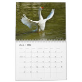 Divers oiseaux calendrier 12 mois (Mar 2026)