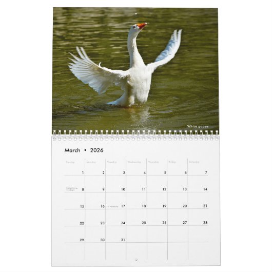 Divers oiseaux calendrier 12 mois (Mar 2026)