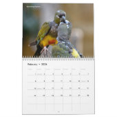 Divers oiseaux calendrier 12 mois (Feb 2026)