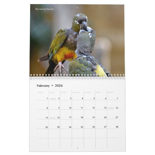 Divers oiseaux calendrier 12 mois (Feb 2026)