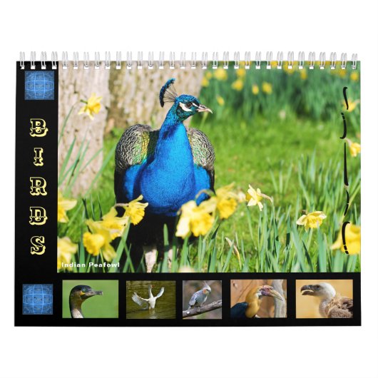 Divers oiseaux calendrier 12 mois (Protection)