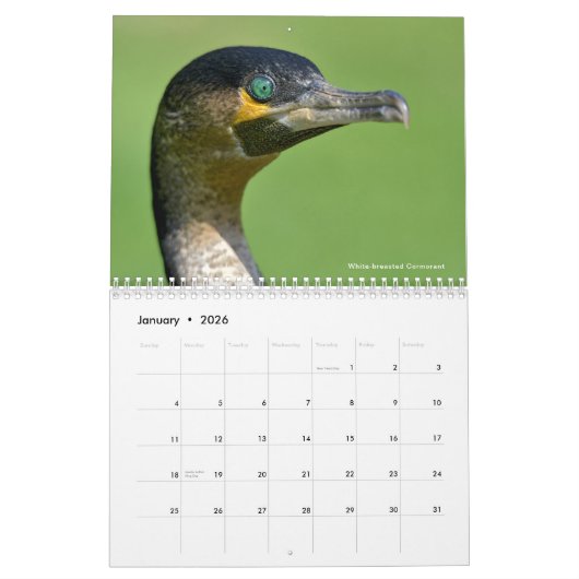 Divers oiseaux calendrier 12 mois (Jan 2026)