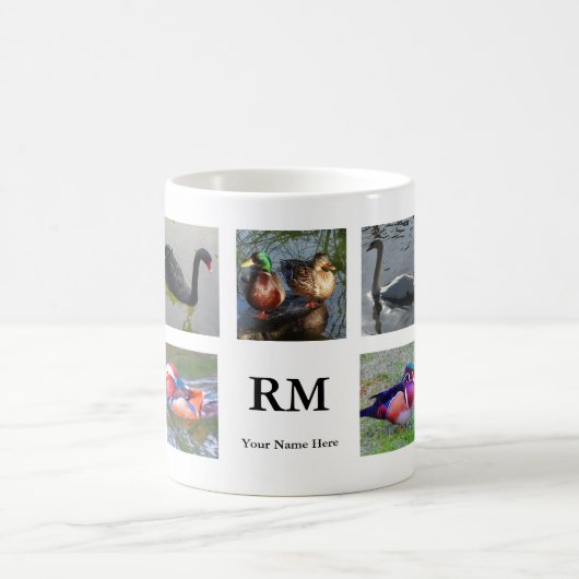 Divers oiseaux Collage #1 Mug (Centre)