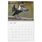Divers oiseaux de mer calendrier 12 mois (Mar 2026)