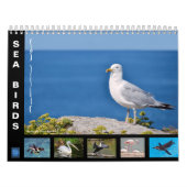Divers oiseaux de mer calendrier 12 mois (Protection)