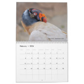 Divers oiseaux de proie calendrier 12 mois (Feb 2026)