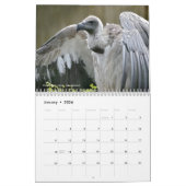 Divers oiseaux de proie calendrier 12 mois (Jan 2026)