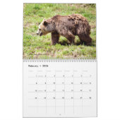 Divers ours calendrier 12 mois (Feb 2026)