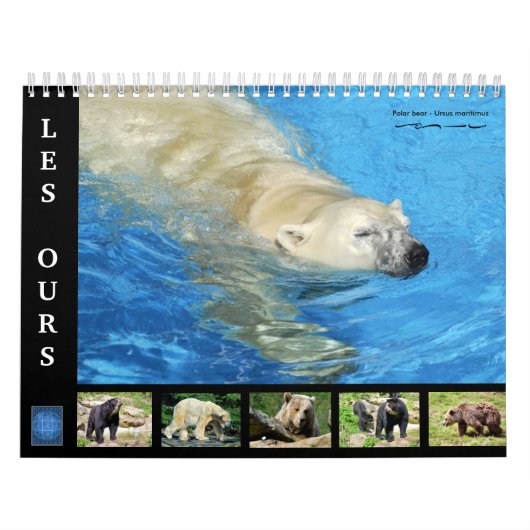 Divers ours calendrier 12 mois (Protection)