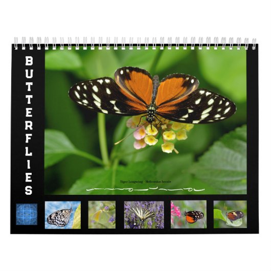 Divers papillons calendrier 12 mois (Protection)