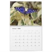 Divers papillons calendrier 12 mois (Jan 2026)