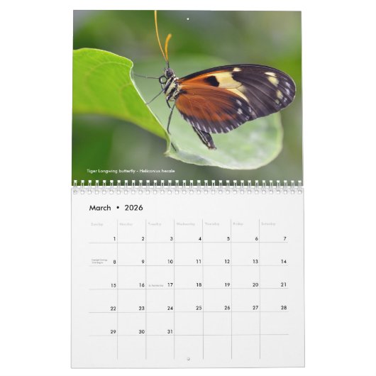 Divers papillons calendrier 12 mois (Mar 2026)