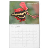 Divers papillons calendrier 12 mois (Feb 2026)