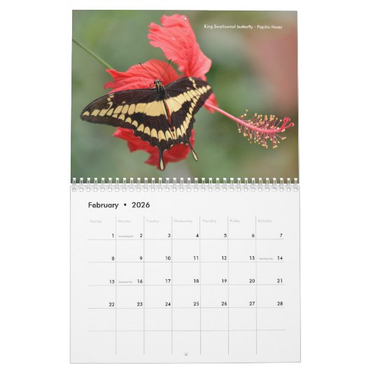 Divers papillons calendrier 12 mois (Feb 2026)