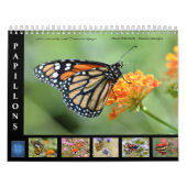 Divers papillons calendrier 12 mois (Protection)
