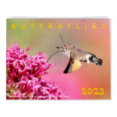 Divers papillons pour calendrier 2023 (Protection)