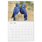 Divers perroquets calendrier 12 mois (Mar 2026)