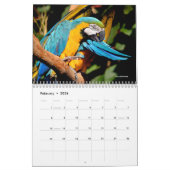 Divers perroquets calendrier 12 mois (Feb 2026)
