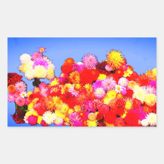 Divers Stickers Dahlias #2-3 (Devant)