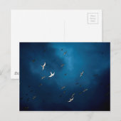 Diverse - Arctic Tern & Blue Sky Pattern Briefkaart (Voorkant / Achterkant)