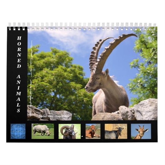 Diverse dieren 12-maandkalender kalender (Hoes)