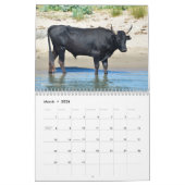 Diverse dieren 12-maandkalender kalender (Mar 2026)
