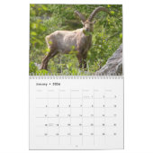 Diverse dieren 12-maandkalender kalender (Jan 2026)