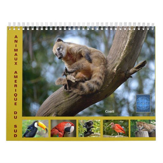 Diverse dieren in Zuid-Amerika: 12-maandkalender Kalender (Hoes)
