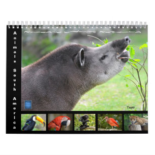 Diverse dieren in Zuid-Amerika: 12-maandkalender Kalender