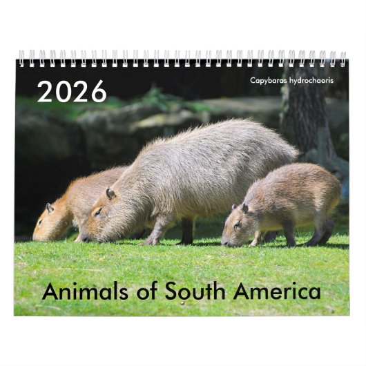Diverse dieren van de kalender van Zuid-Amerika (Hoes)