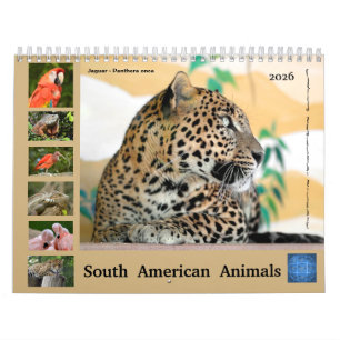 Diverse dieren van de kalender van Zuid-Amerika