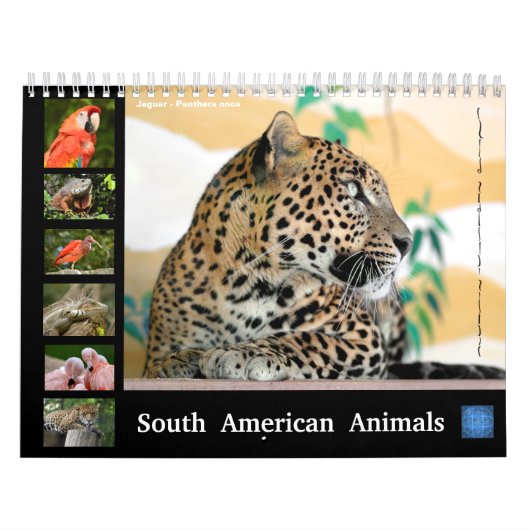 Diverse dieren van de kalender van Zuid-Amerika (Hoes)