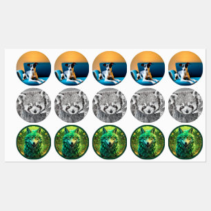 Diverse dierstickers labels