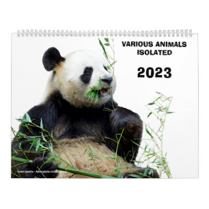 Diverse geïsoleerde dieren in 2023 kalender