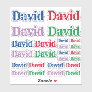 Diverse grootten van de naam David Sticker