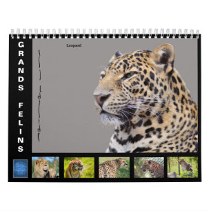 Diverse grote katten-achtige kalender van 12 maand