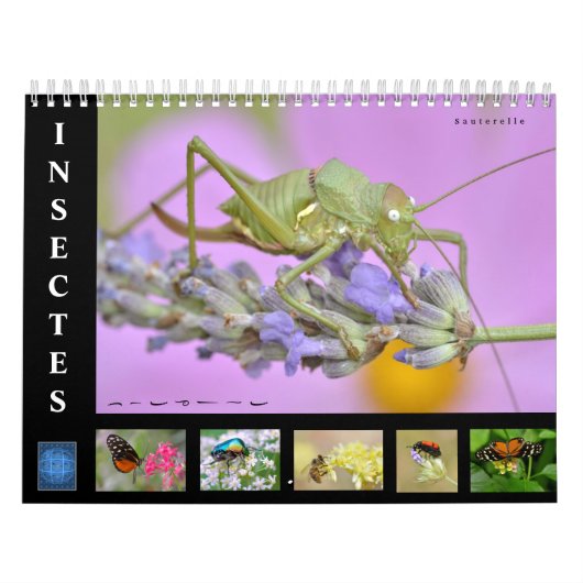 Diverse insecten, kalender van 12 maanden (Hoes)