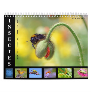 Diverse insecten, kalender van 12 maanden