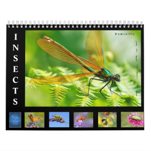Diverse insecten, kalender van 12 maanden