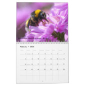 Diverse insecten voor kalender (Feb 2026)