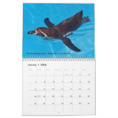 Diverse kalender voor watervogels (Jan 2026)