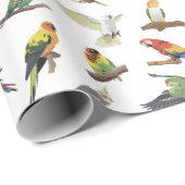 Diverse kleurrijke papegaaien cadeaupapier (Rol Hoek)