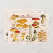 Diverse paddenstoelen briefkaart (Voorkant / Achterkant)