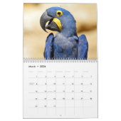 Diverse papegaaien kalender (Mar 2026)