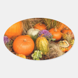 Diverse pompoenen ovale sticker