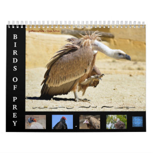 Diverse roofvogels 12-maandenkalender kalender