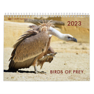 Diverse roofvogels kalender