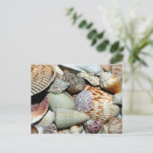 Diverse Seashells op Beach Foto Briefkaart (Staand voorkant)