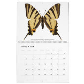 Diverse vlinders 2023 kalender (Jan 2026)